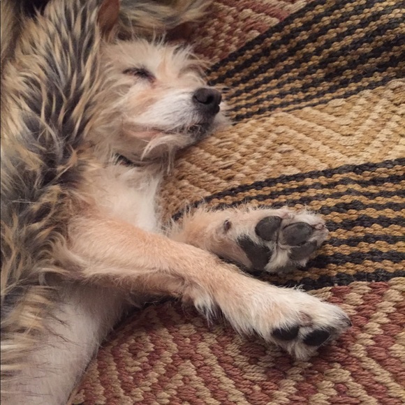 Meet your Posher, Victoria - Picture 1 of 1